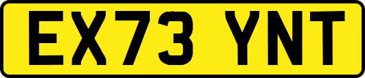 EX73YNT