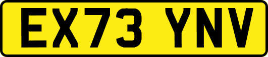 EX73YNV