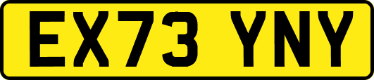 EX73YNY