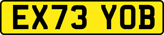 EX73YOB