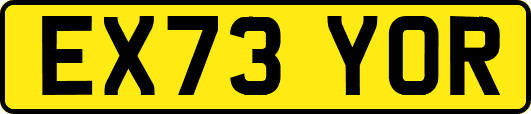 EX73YOR