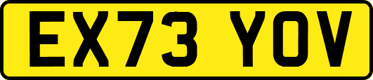 EX73YOV