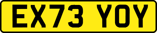 EX73YOY