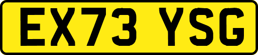 EX73YSG