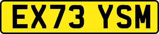 EX73YSM