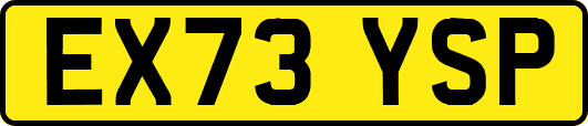 EX73YSP