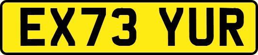 EX73YUR