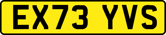 EX73YVS