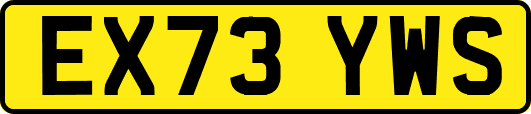 EX73YWS
