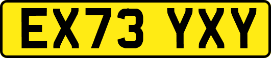 EX73YXY