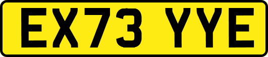 EX73YYE