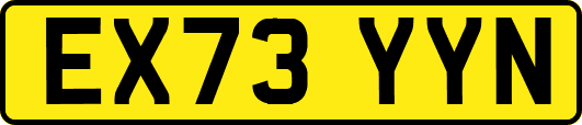 EX73YYN