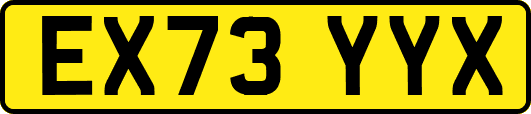 EX73YYX