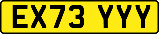 EX73YYY