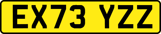 EX73YZZ