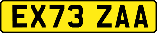 EX73ZAA