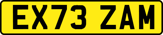 EX73ZAM