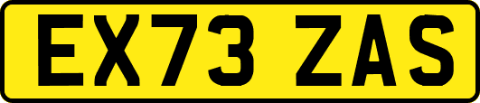 EX73ZAS