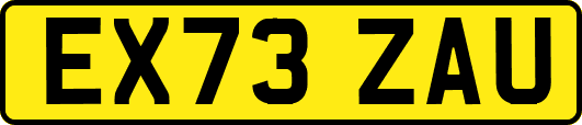 EX73ZAU