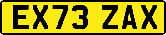 EX73ZAX