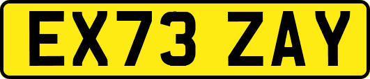 EX73ZAY