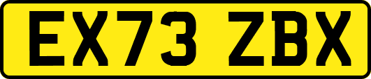 EX73ZBX