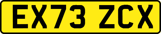 EX73ZCX