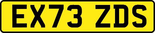 EX73ZDS