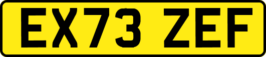 EX73ZEF