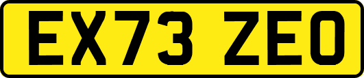 EX73ZEO