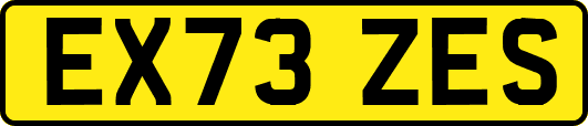 EX73ZES