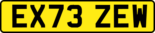EX73ZEW