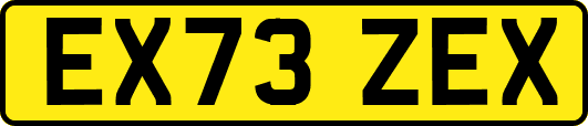 EX73ZEX