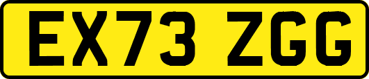 EX73ZGG