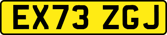 EX73ZGJ