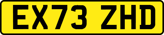 EX73ZHD