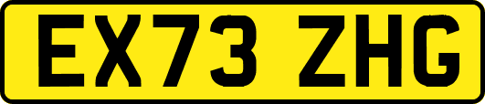 EX73ZHG
