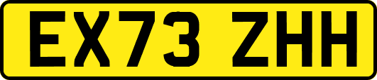EX73ZHH