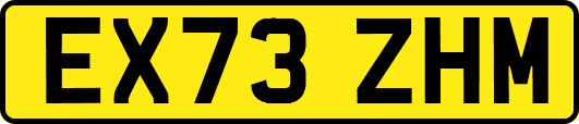 EX73ZHM