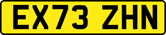 EX73ZHN