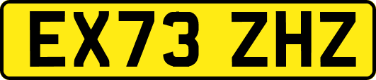 EX73ZHZ