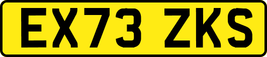 EX73ZKS