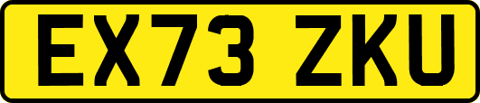 EX73ZKU