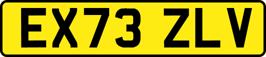 EX73ZLV