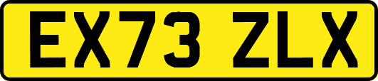 EX73ZLX