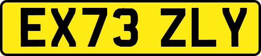 EX73ZLY