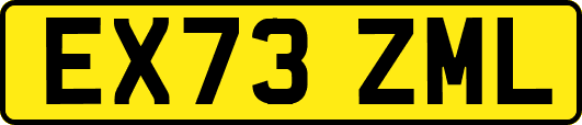 EX73ZML