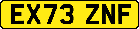 EX73ZNF