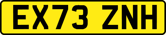 EX73ZNH
