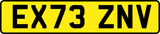 EX73ZNV